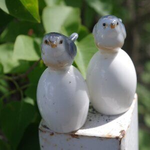 Cute Little Salt & Pepper Shakers Blue Birds